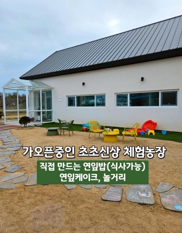 [구미 연의하루 체험농장] 대구근교 아이와 가기 좋은 연잎체험...