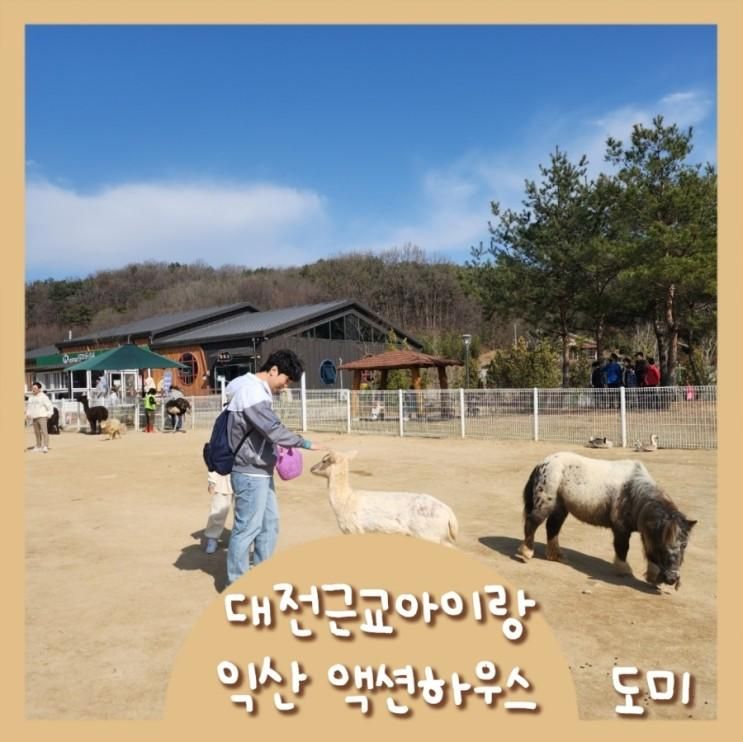 대전근교아이랑 전북아이랑 작은 동물원 익산 액션하우스