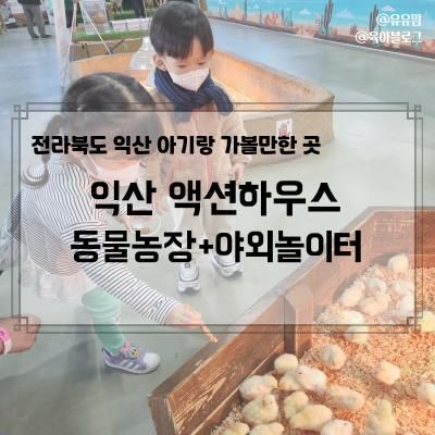 익산 아기랑 가볼만한 곳, 동물농장 액션하우스 먹이주기 체험