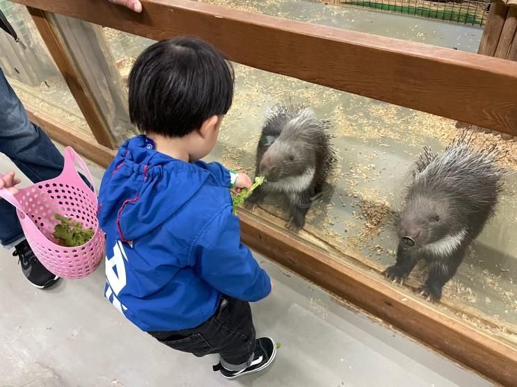 전북 군산 근교 실내 가볼만한 곳 익산 액션하우스(서동공원 축제)