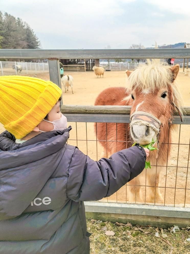 전북 익산 액션하우스 대전 근교 아이와 가볼만한곳