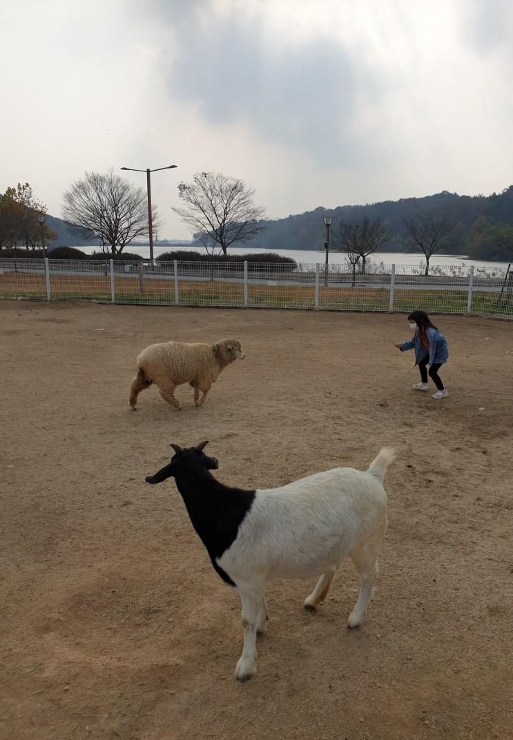 익산 액션하우스 , 오랜만에 동물 먹이주기 체험