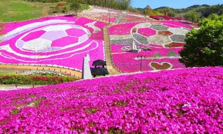 황매산 철쭉제, 항노화 산들길, 단성묵곡생태숲, 생초국제조각공원