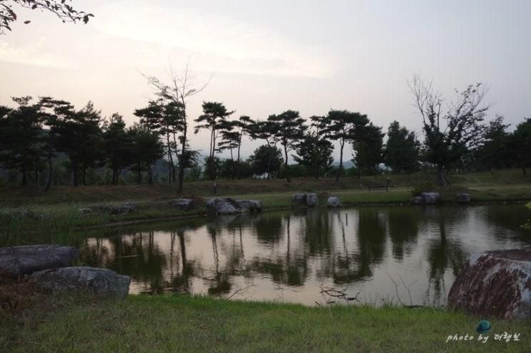 단성묵곡생태숲에서 힐링을 맛보다