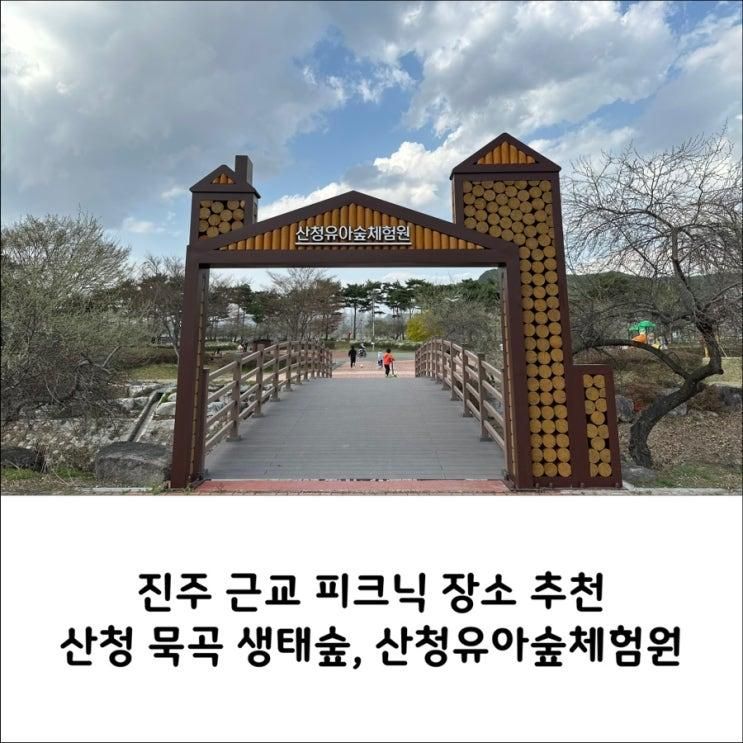 산청 가볼만한곳 성철공원 단성묵곡생태숲 산청유아숲체험원