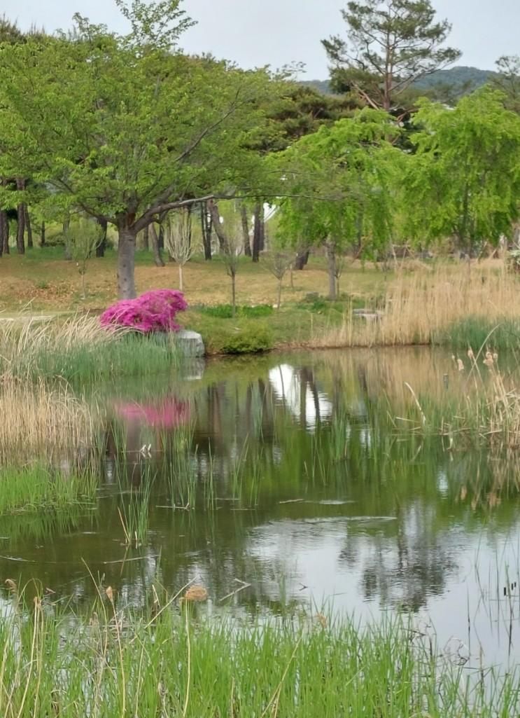 경남 산청 단성 성철공원( 묵곡 생태숲) 산책하기 좋은 강변길...