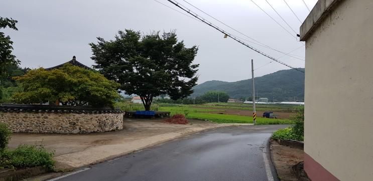 [2018/08/07]산청군 단성면... 고향집&단성묵곡생태숲...