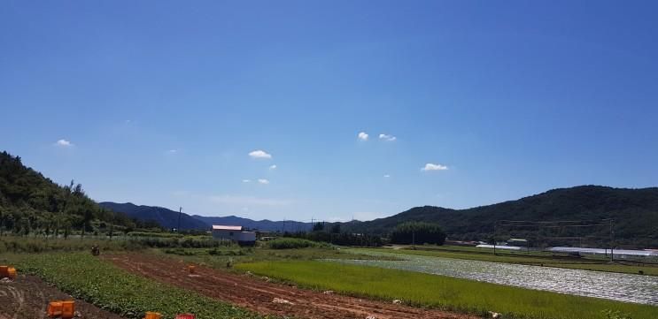 [2018/09/25]산청군 단성면... 무우청밭&단성묵곡생태숲...