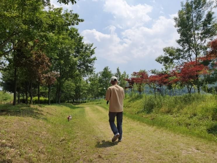 산청반려견여행 단성 묵곡생태숲 산책 최고얌