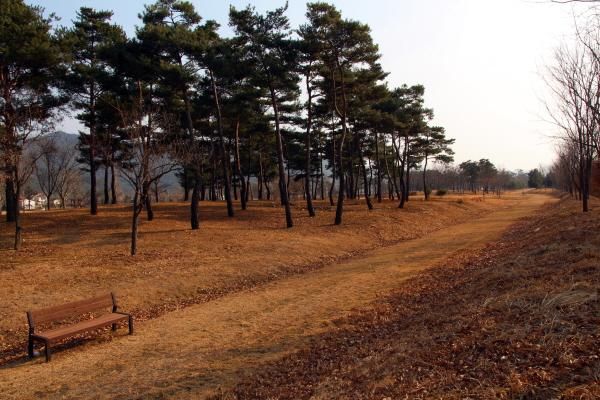 봄소풍가기 좋은 곳-나만의 비밀정원,단성 묵곡생태숲