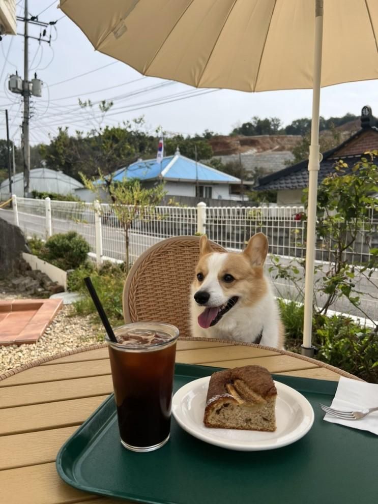 경기도 양평 애견동반 브런치 카페, 디저트 맛집 루루루 LuLuLu