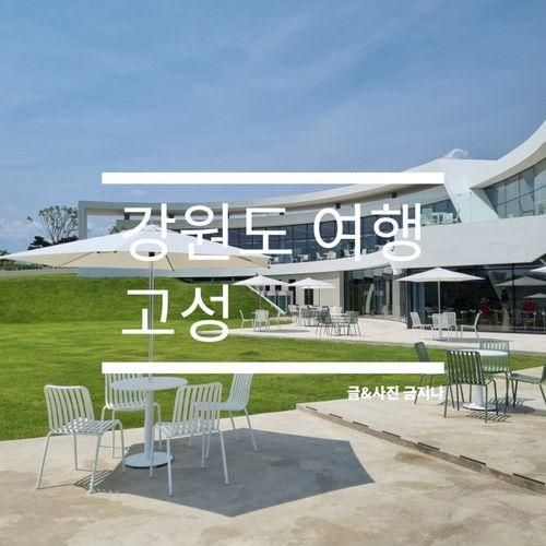 [강원도 여행/고성] 백촌막국수, 레드인블루, 고성통일전망대