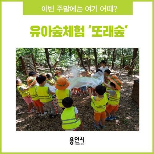 [용인 체험] 이번 주말에는 여기 어때? 유아숲 체험 "또래숲"