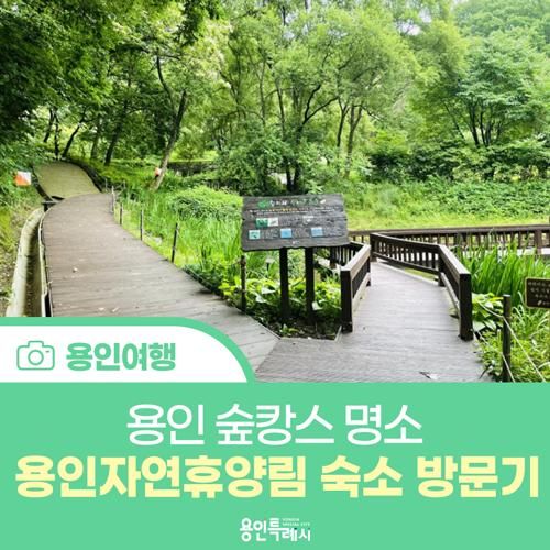 [용인 여행] 용인 숲캉스 명소 '용인자연휴양림'에서 지친...