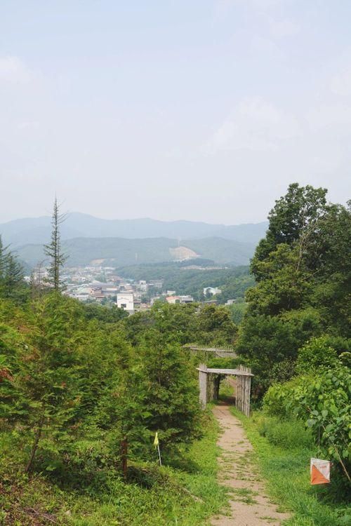 용인자연휴양림 산책 한 바퀴 :: 캐빈하우스 야영장~트리하우스...