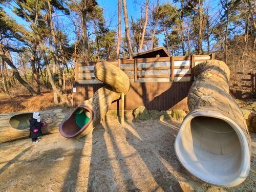 [놀이터 투어] 용인자연휴양림 오감의 숲 - 용인 아이와...