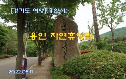 [경기도 여행]<용인시> 용인 자연휴양림