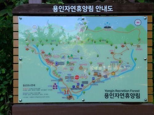 용인자연휴양림 숲치유