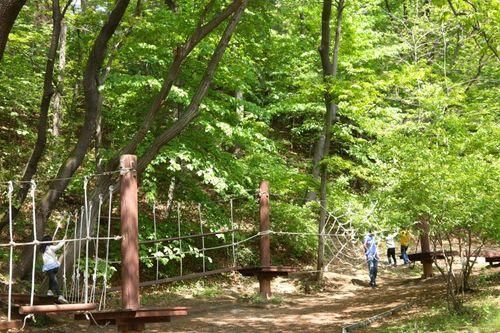 경기도 아이랑 숲길 여행 '용인자연휴양림'부터 '깊은 산속...