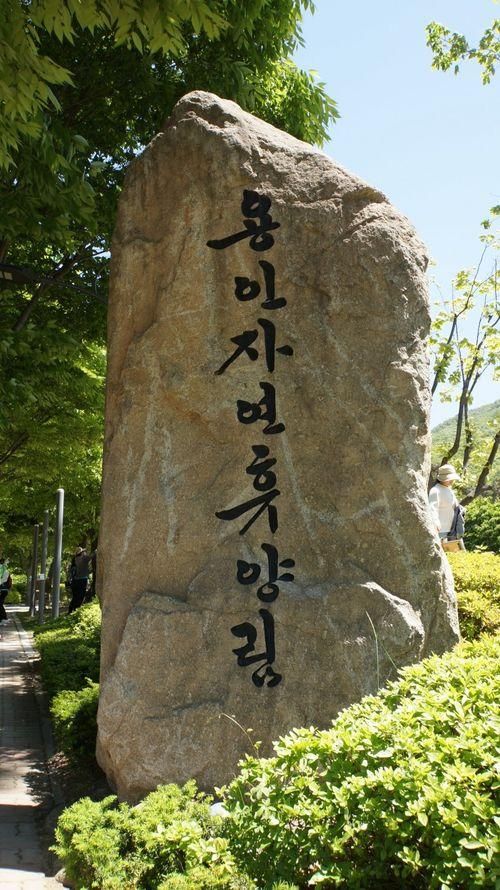 경기도 용인 자연 휴양림에서 산책하기 / 비대면 산책하기