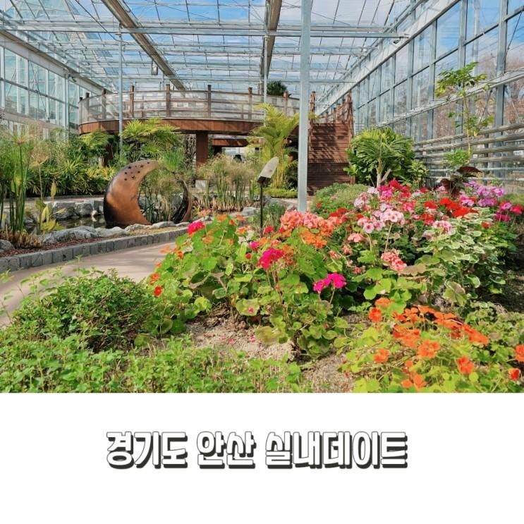 경기도 안산식물원 실내데이트 겨울 가볼만한곳
