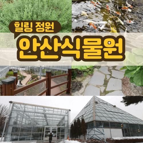 안산식물원 아이들과 신관 구경 가요