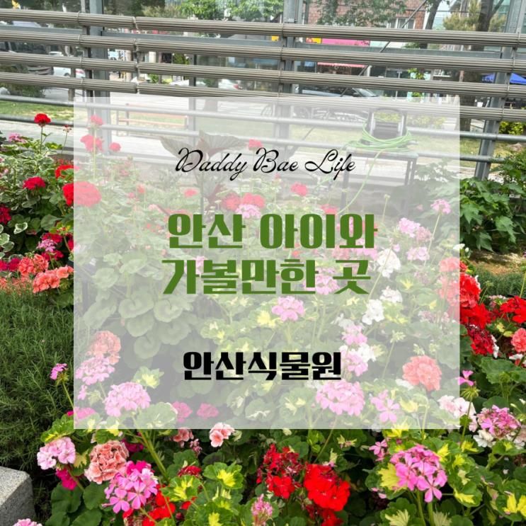 주말 안산 아이와 가볼만한 곳, 안산식물원 관람 추천