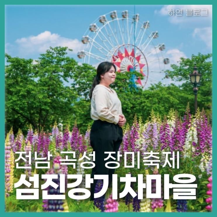 곡성 장미축제! 섬진강 기차마을 5월 14일 개화상황~