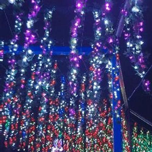 김해가야테마파크 빛축제 별빛축제 야간개장 고궁투어