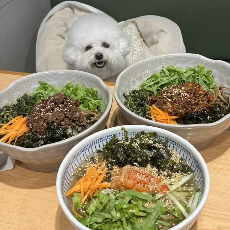 담양 애견동반식당 : 새벽식당 (담양 맛집, 메타세쿼이아 맛집...