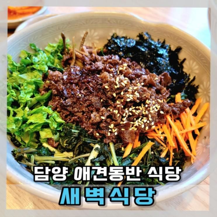 담양 애견동반 새벽식당 직화불고기비빔밥 먹어봤어요