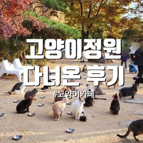 나의 마음도 천국인 고양이정원 다녀온 후기 (강서구, 개화동)