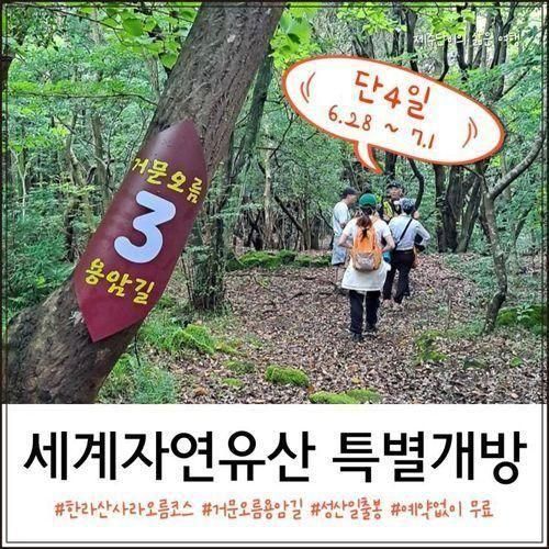 제주 한라산 성산일출봉 거문오름 예약 없이 무료 단 4일