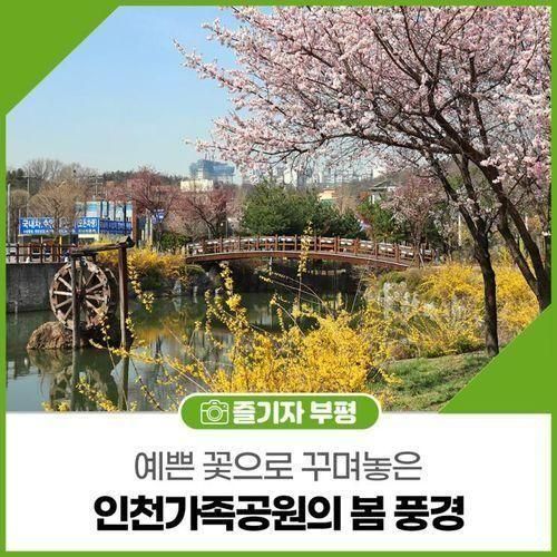 예쁜 꽃으로 꾸며놓은, 인천가족공원의 봄 풍경