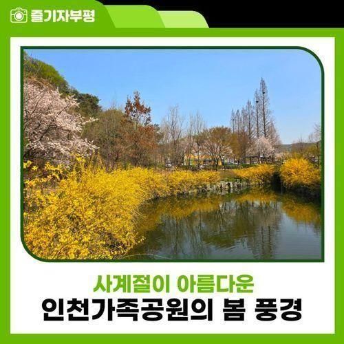 인천가족공원의 봄 풍경