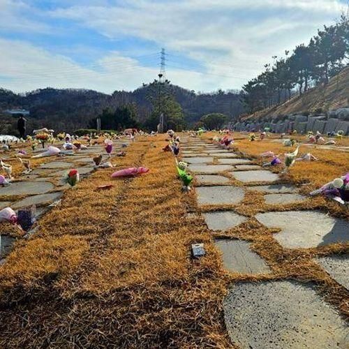 인천가족공원 수목장 자연장 이용하시기 전 팁