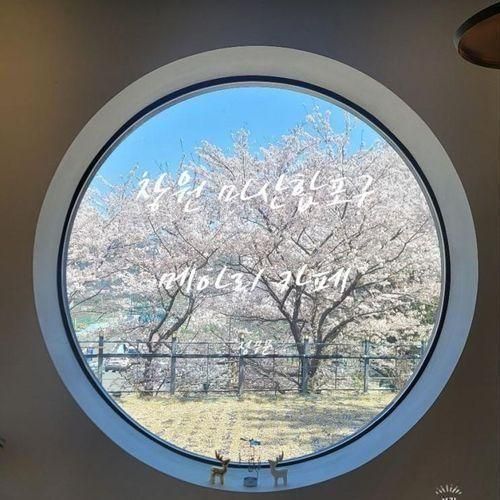 벚꽃 명소 창원 마산합포구 메아리 카페 벚꽃 사진이 너무...