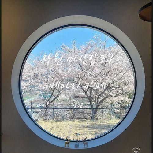 메아리 카페 벚꽃 명소 창원 마산합포구 메아리
