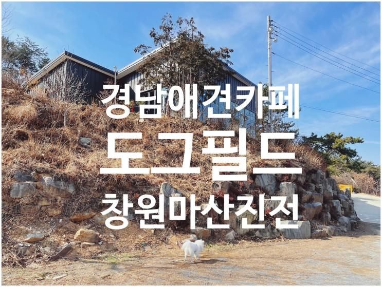 창원 마산 바다가 보이는 애견카페!  [도그필드] 경남애견카페!!