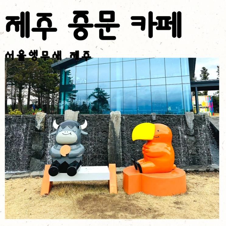 제주 중문 카페 서울앵무새 서귀포 핫플카페