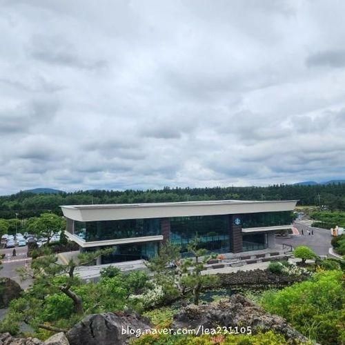 아이와 제주도 제주여행 4_스타벅스 더제주 송당파크R점...