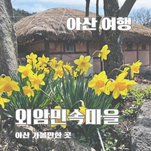 아산 가볼만한 곳 외암민속마을 봄꽃구경 저잣거리 먹거리