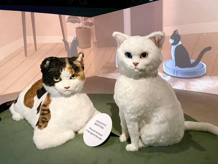 요물 우리를 홀린 고양이 전시회 | 서울 국립민속박물관