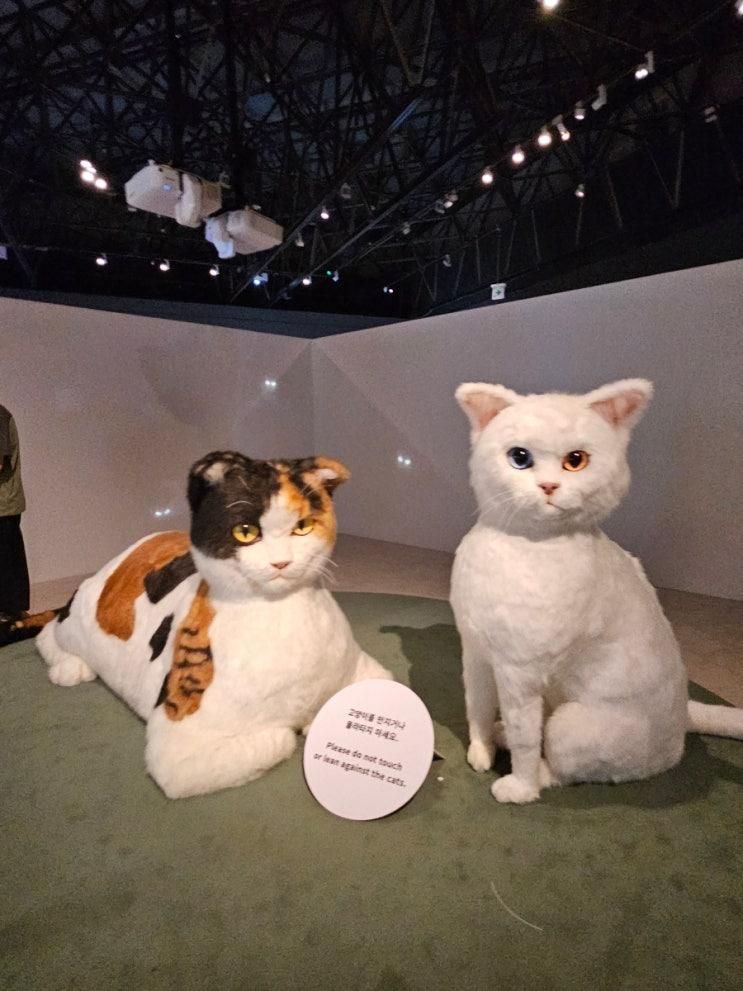 국립민속박물관 무료전시<요물, 우리를 홀린 고양이>(+특별전시...