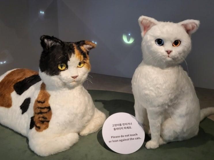 서울 무료 전시 국립민속박물관 아버지&요물, 우리를 홀린 고양이