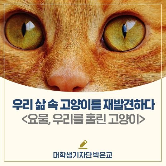 우리 삶 속 고양이를... 특별전 <요물, 우리를 홀린 고양이>