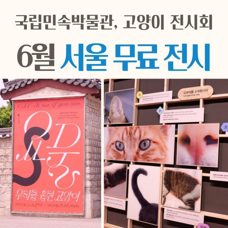 서울 무료 전시회 6월 국립민속박물관 요물, 우리를 홀린 고양이