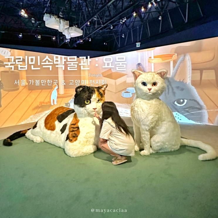 국립민속박물관 요물 우리를 홀린 고양이 전시회 서울 실내...
