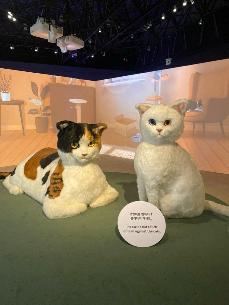 전시회 데이트코스 국립민속박물관 요물, 우리를 홀린 고양이