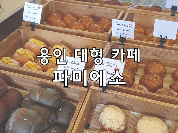 용인 처인구 베이커리 대형 카페 파미에소 방갈로 풀장 소금빵...